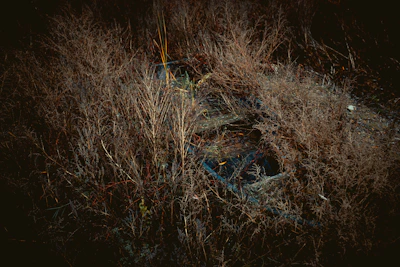 An old, rusted bicycle chained to a forgotten fence surrounded by overgrown grass.
