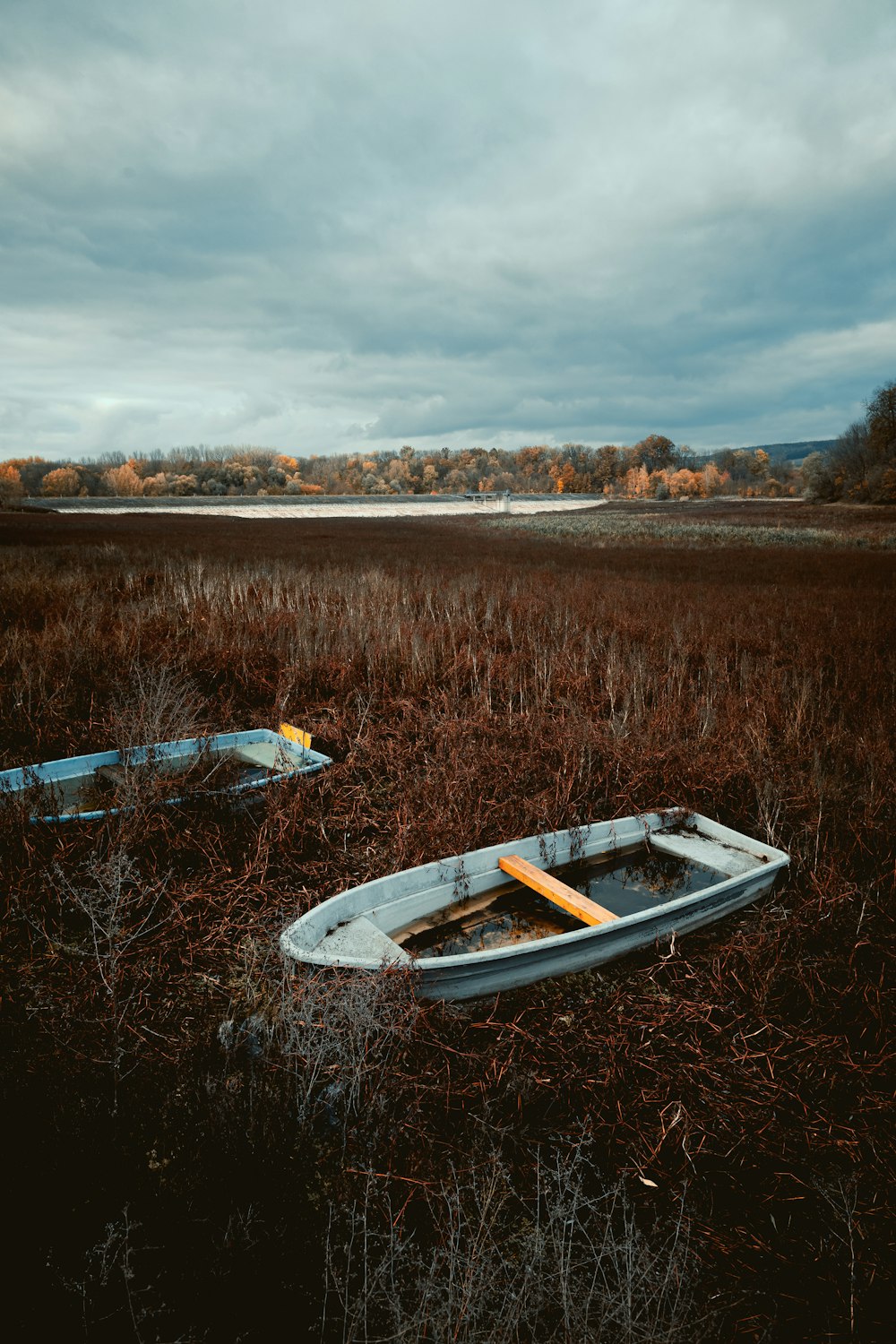 Blaues Jonboat auf Rasen