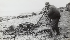 A photographer is standing on a rocky beach using a camera mounted on a tripod. In the foreground, a seal is lying amidst seaweed, appearing relaxed and calm.
