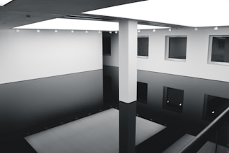 grayscale photography of inside building view