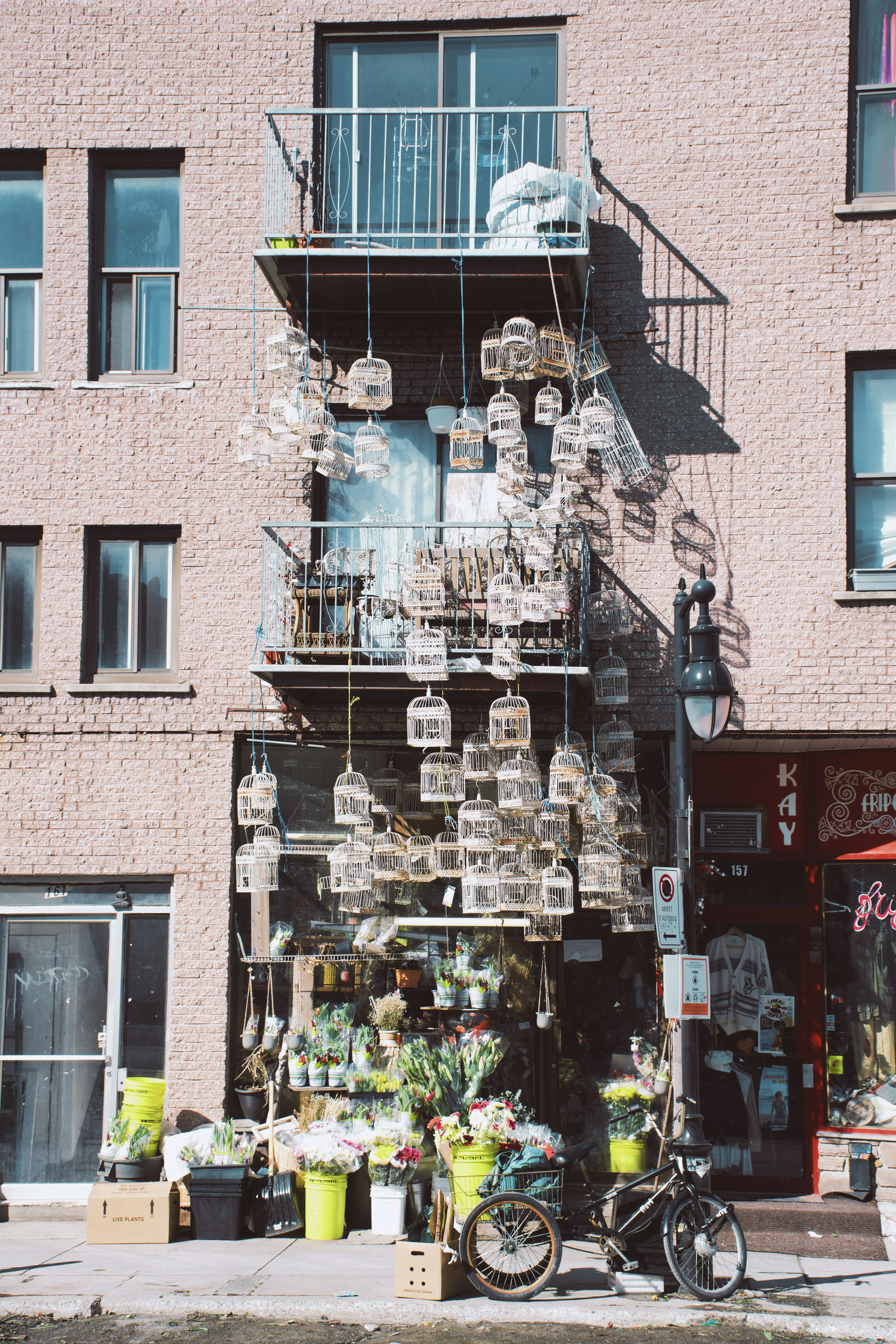 black bike parking near flower shop during daytime