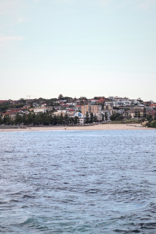seashore and city scenery in Coogee Beach Australia