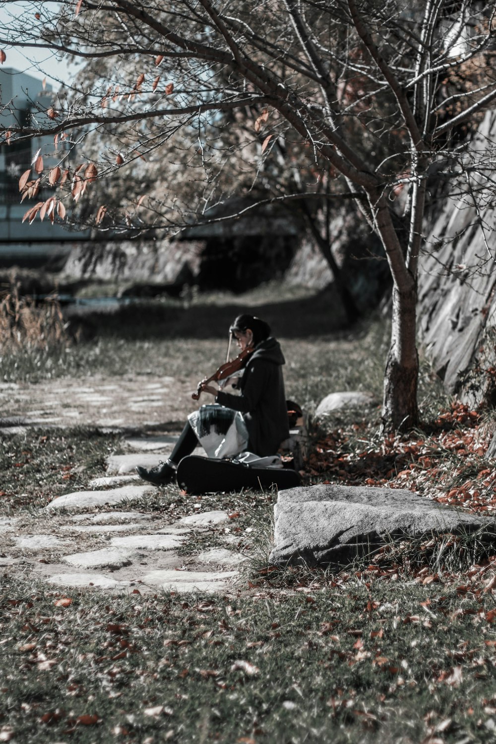 woman sitting and playing violin under tree