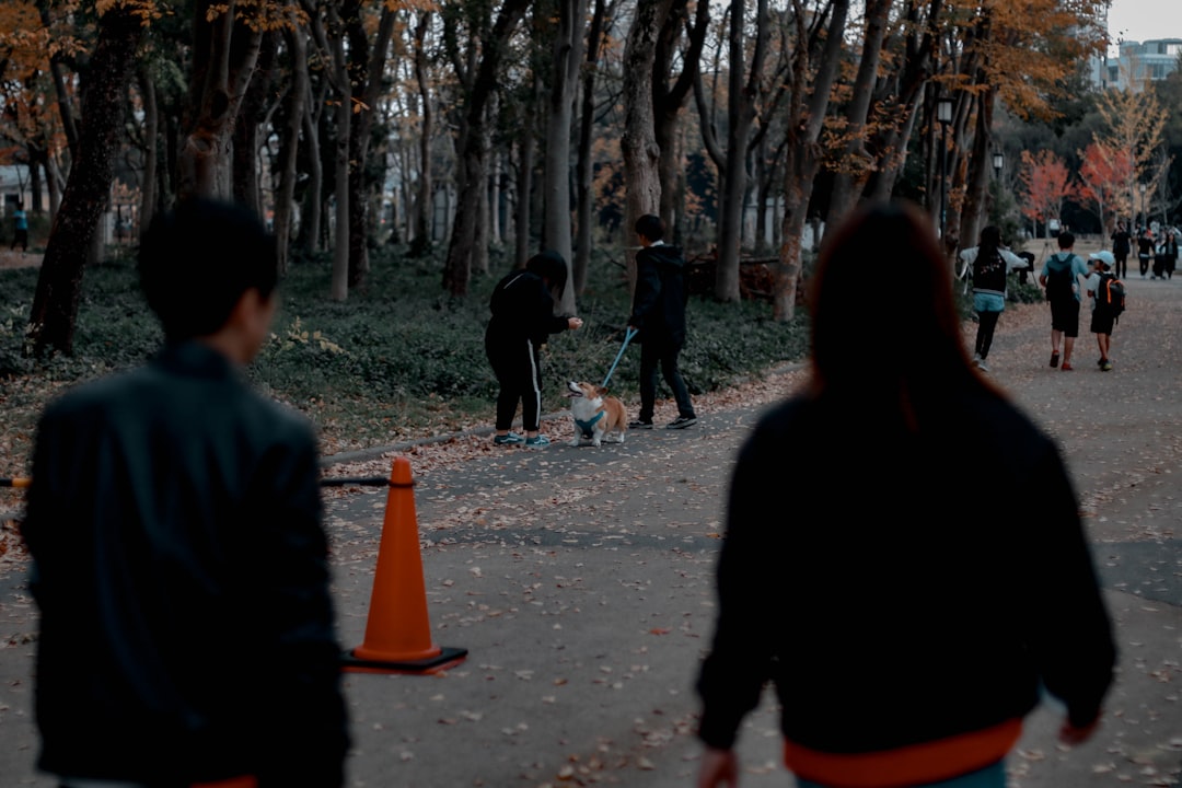 people walking in park during daytime