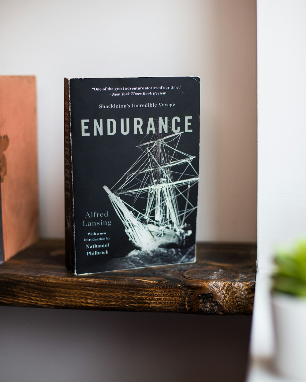 Endurance book