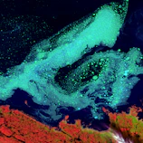 A satellite orbiting Earth, capturing vibrant images of forests and oceans.