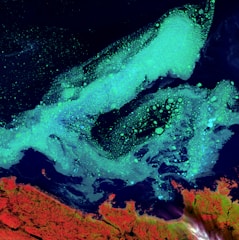 A mesmerizing satellite image captures a dramatic view of Earth's natural formations. Bright turquoise seas act as a striking contrast against deep blue waters, showing swirling patterns that resemble ocean currents or algae blooms. In the lower part, rugged red and orange landmasses highlight the coastline, offering a vivid display of geographical features.