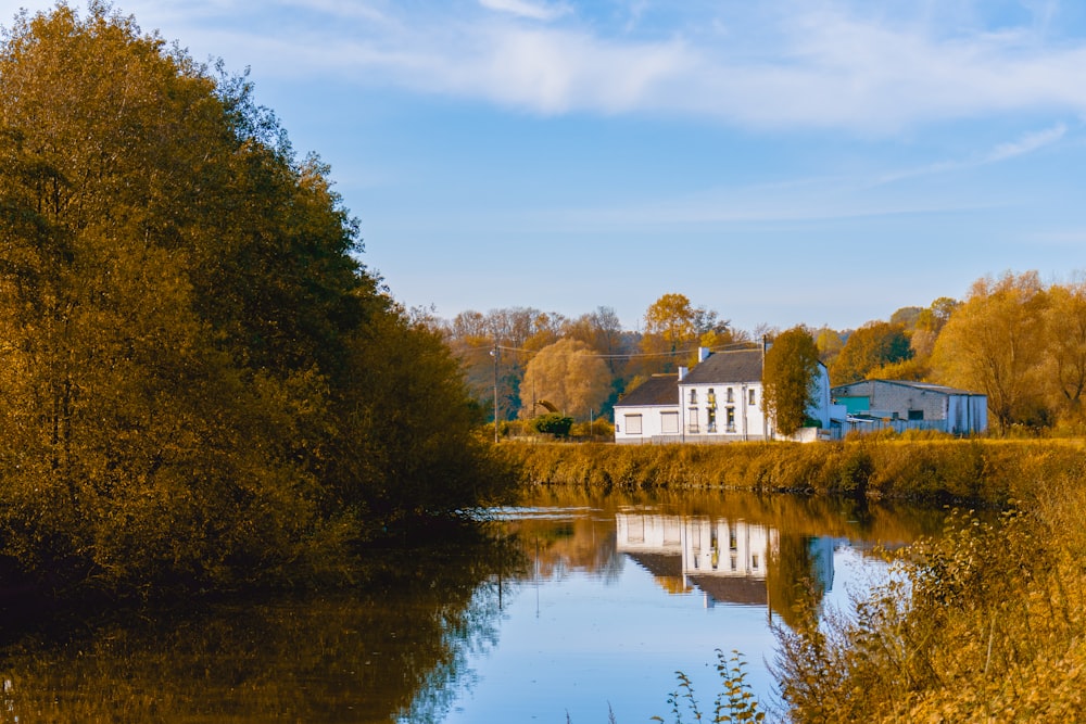 house near body of water and trees during day