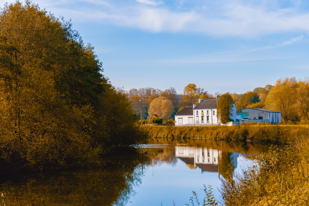 house near body of water and trees during day