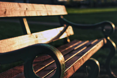 A hand applying teak oil to a garden bench under soft sunlight.