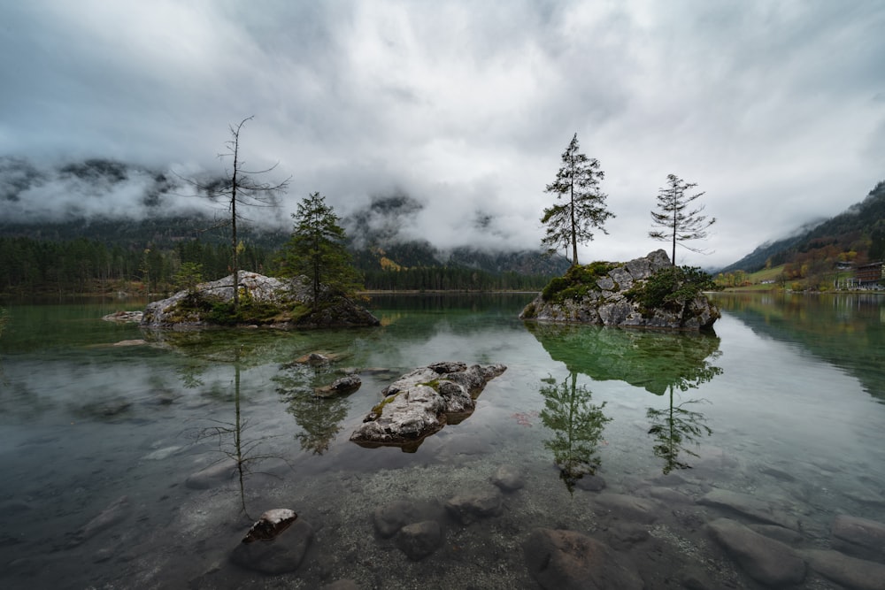 rocky isles with trees on body of water