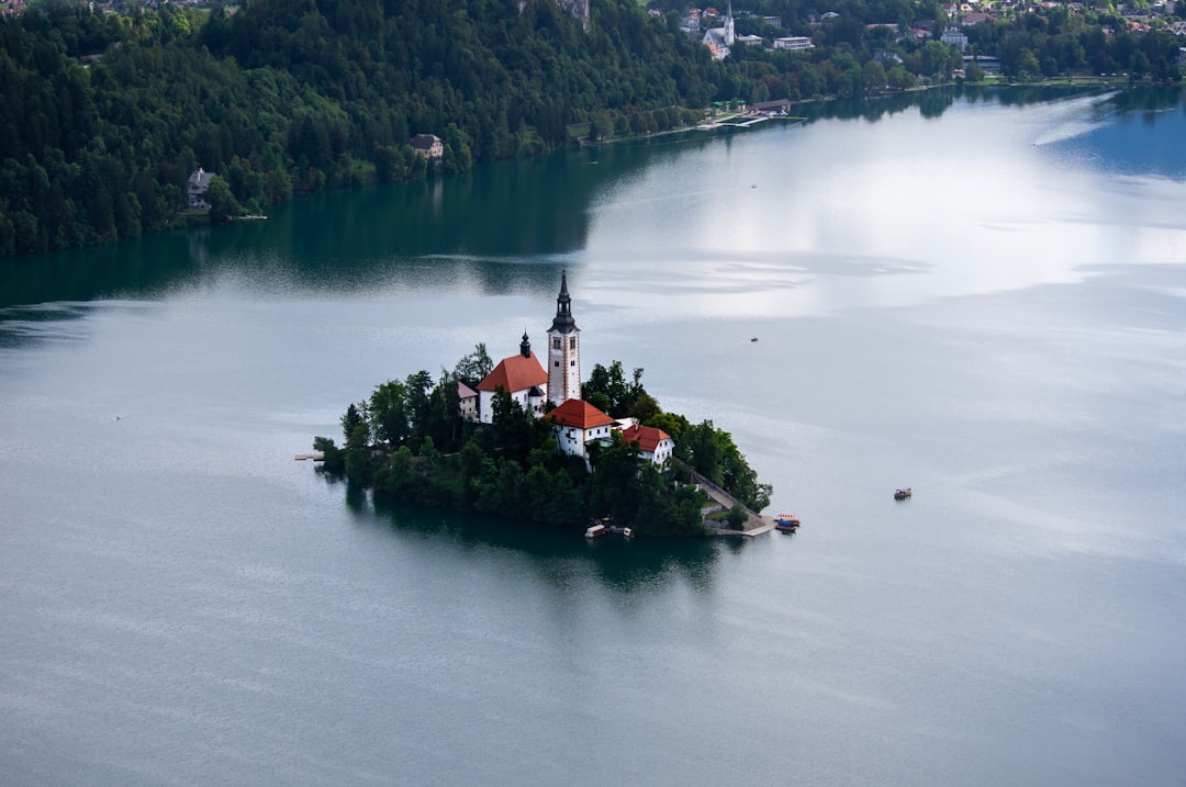 white and red houses surrounded by body of water