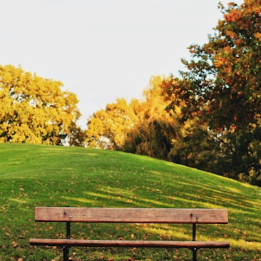 brown wooden bench