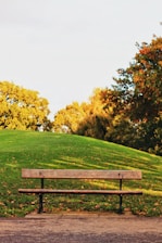 brown wooden bench