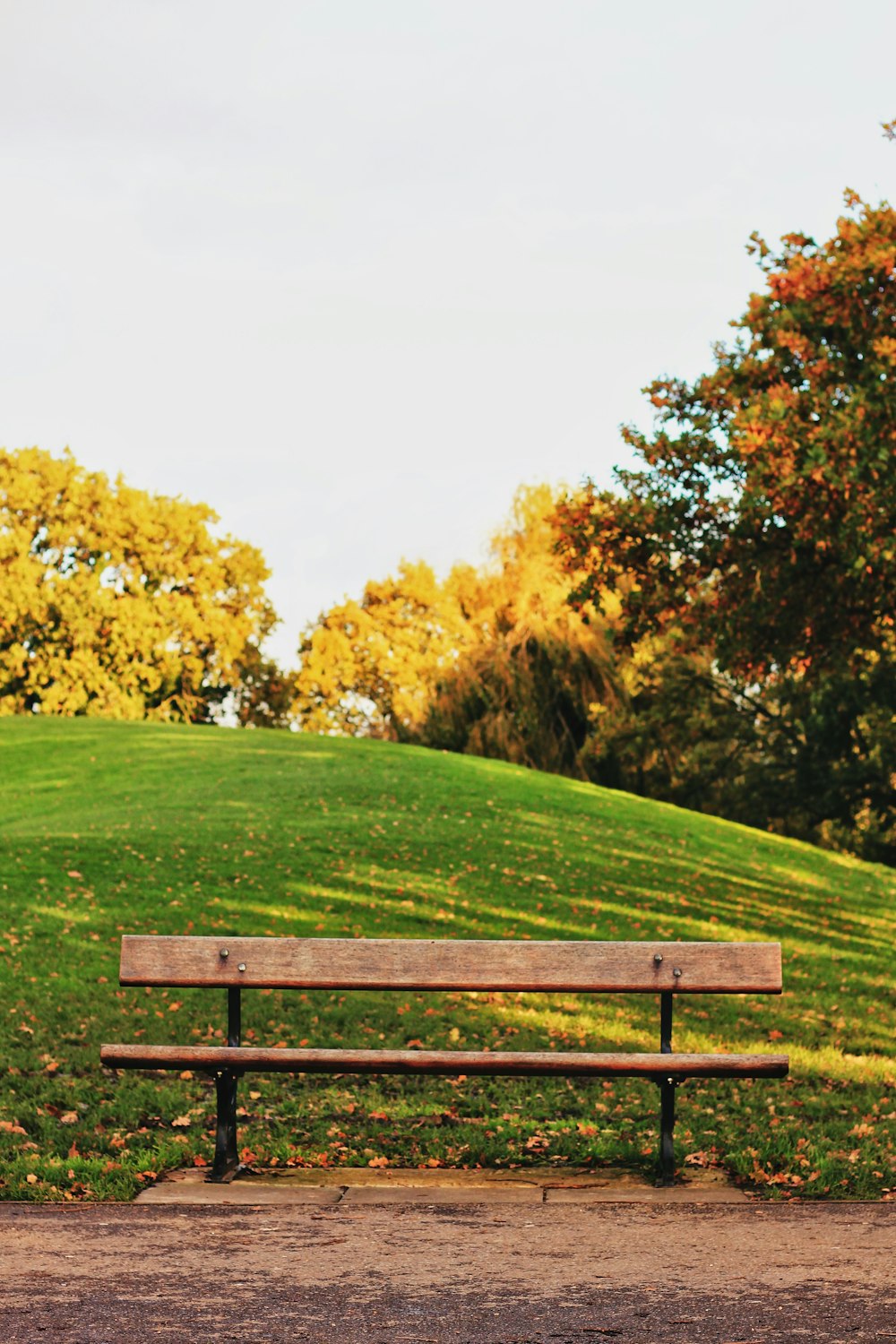 brown wooden bench