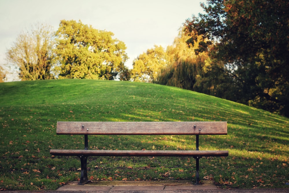 shallow focus photo of brown wooden bench