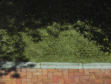 Smooth transition between grass and stone pathway with precise edging