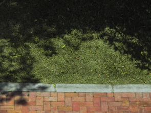 Smooth transition between grass and stone pathway with precise edging
