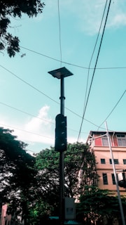 A tall streetlight pole accompanied by a solar panel, surrounded by trees and a few buildings in the background. Several power lines crisscross the scene under a bright sky. The foliage appears lush and green, contrasting with the urban elements.
