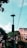 A tall streetlight pole accompanied by a solar panel, surrounded by trees and a few buildings in the background. Several power lines crisscross the scene under a bright sky. The foliage appears lush and green, contrasting with the urban elements.