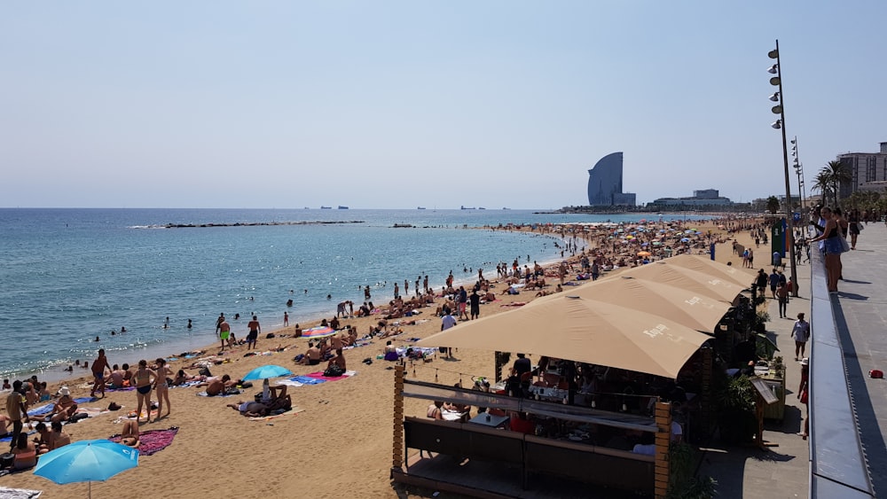people at the beach of the city during day