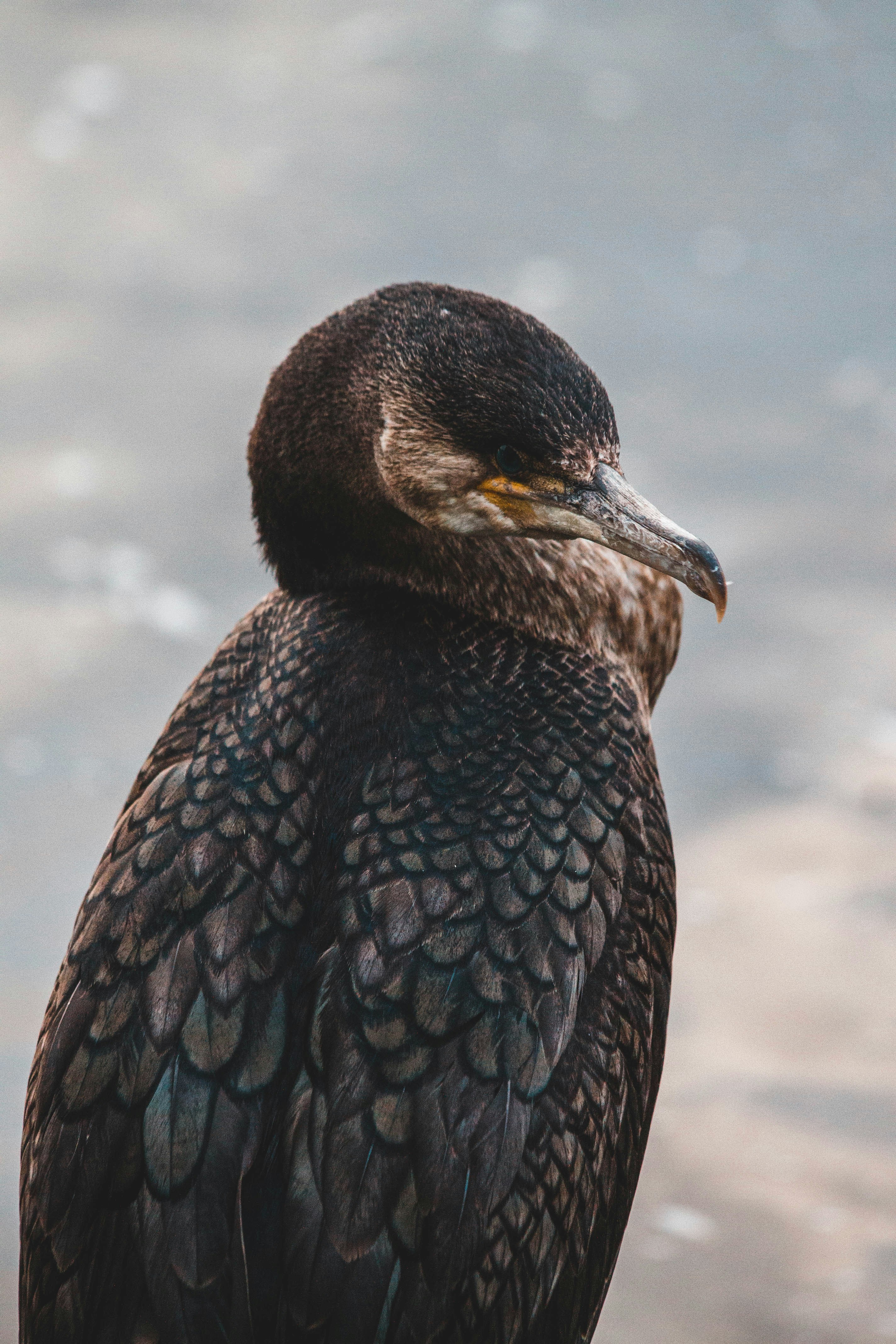 Photo by introspectivedsgn