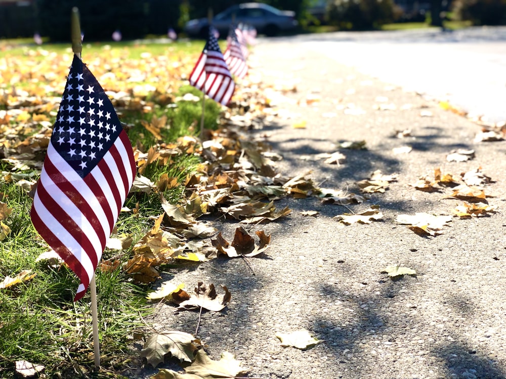 United States of America flags