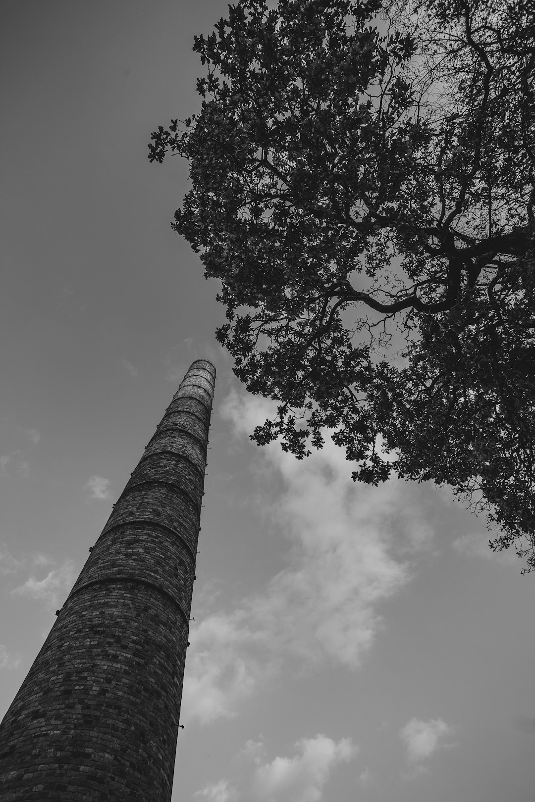 grayscale photography of concrete tower and tree