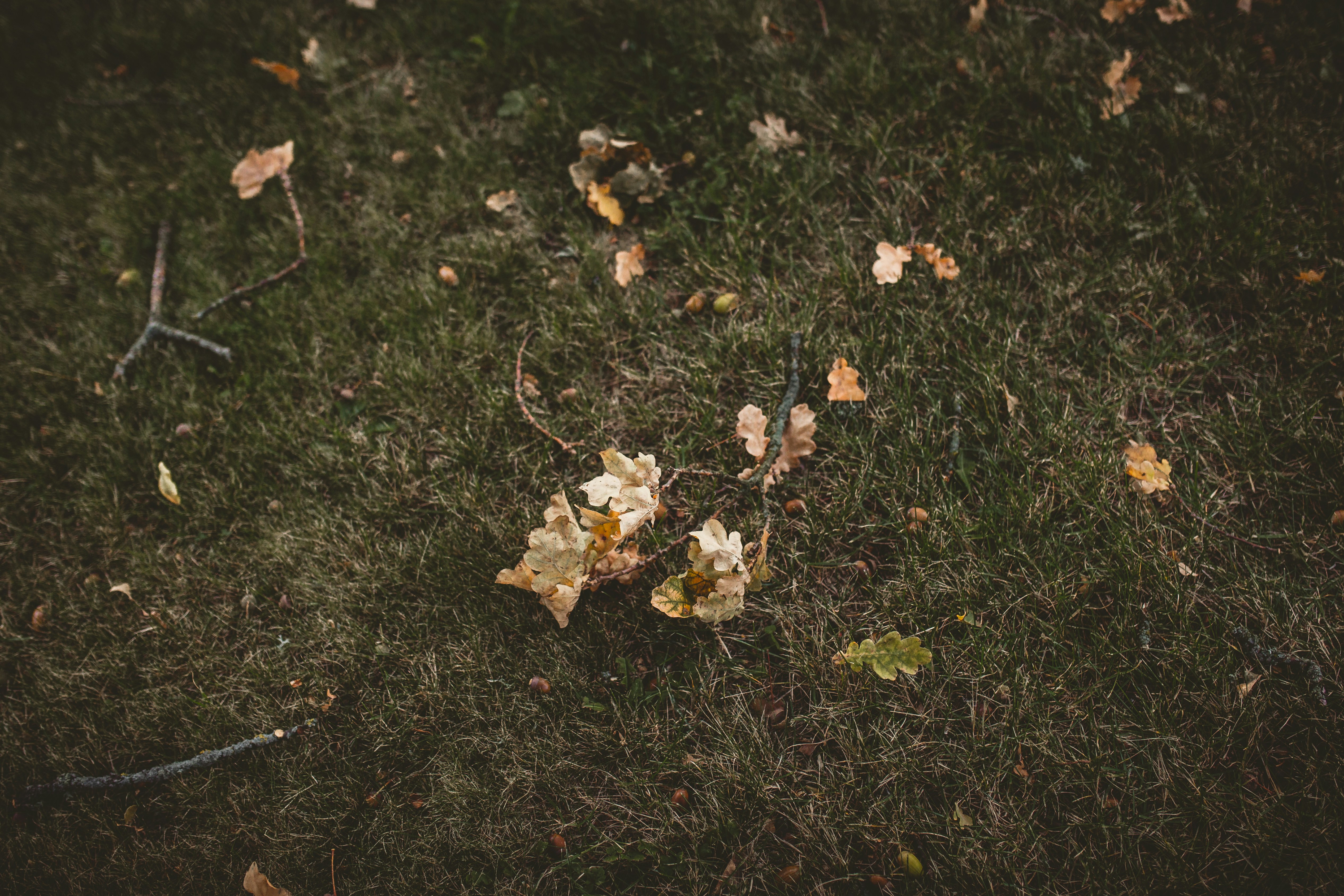 가을 감성을 자극하는 노래 모음