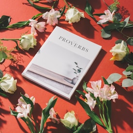A book titled 'Proverbs' lies on a flat red surface, surrounded by a delicate arrangement of white and pink flowers. The book cover features a minimalistic design with a small plant in a pot. The composition is artistic, with natural lighting creating soft shadows across the surface.