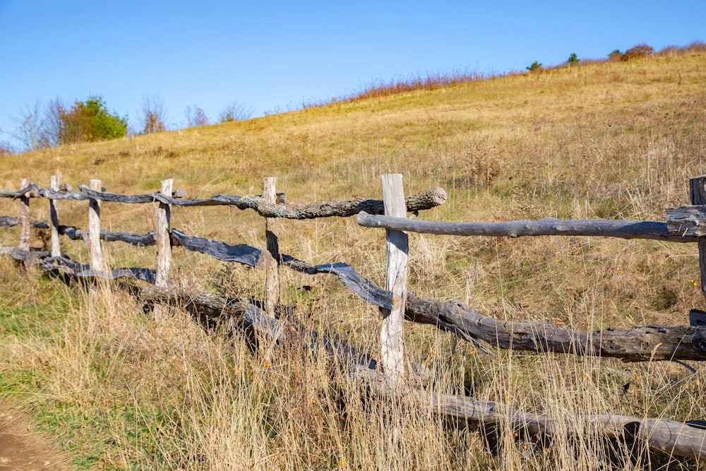 green grass field and brown wooden fence