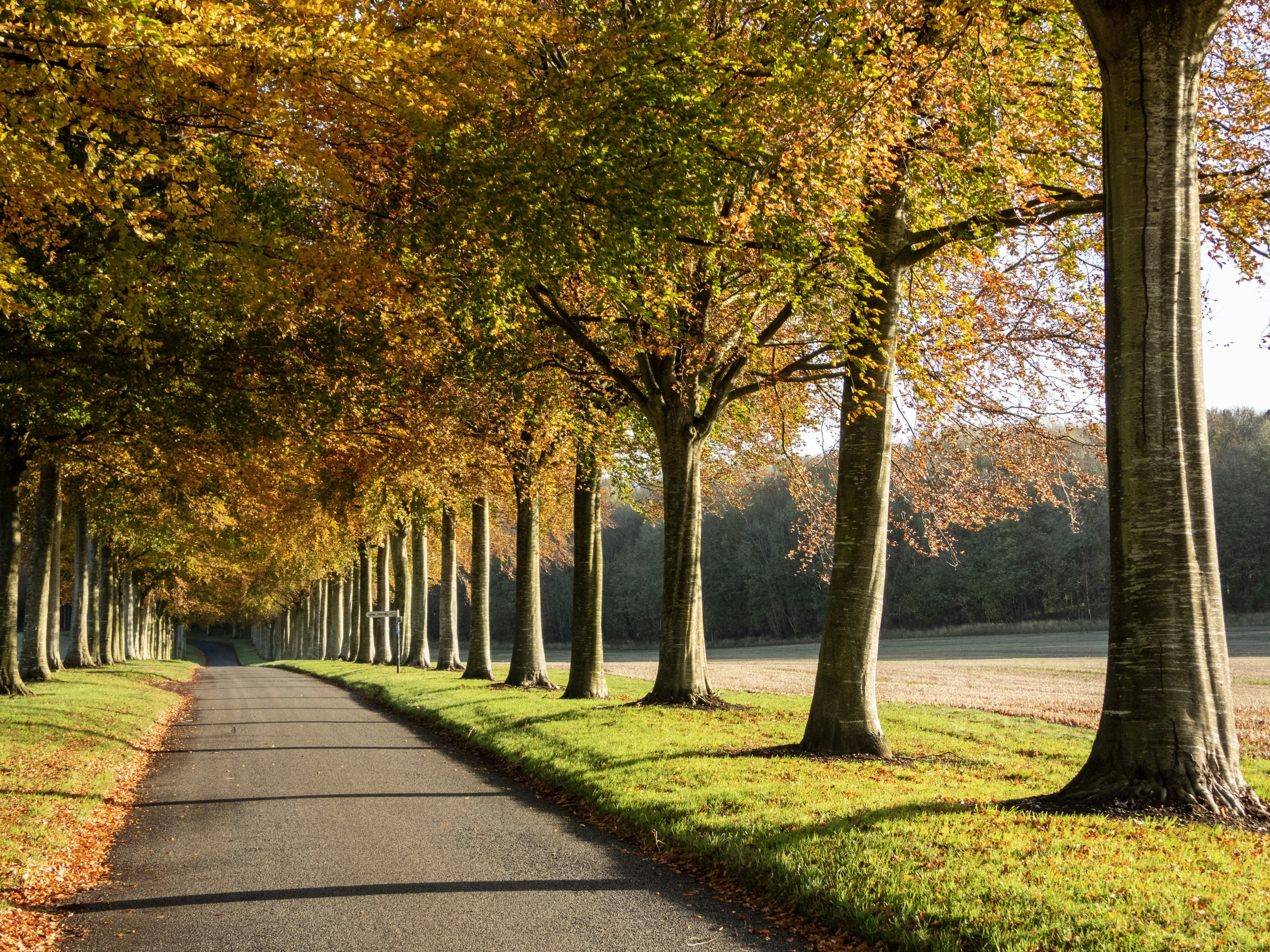 Photo by jannerboy62