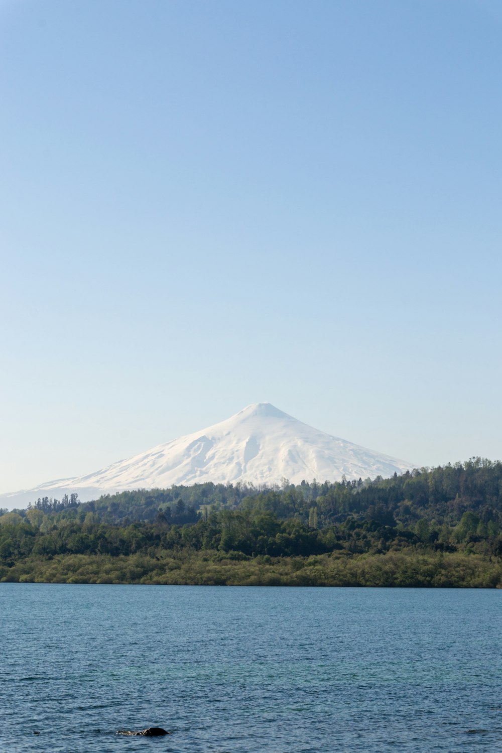 white mountain near trees