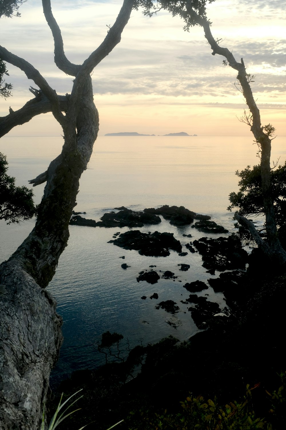 photography of seashore during daytime