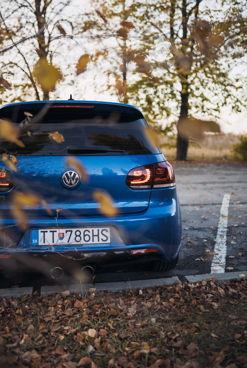 blue Volkswagen hatchback near trees