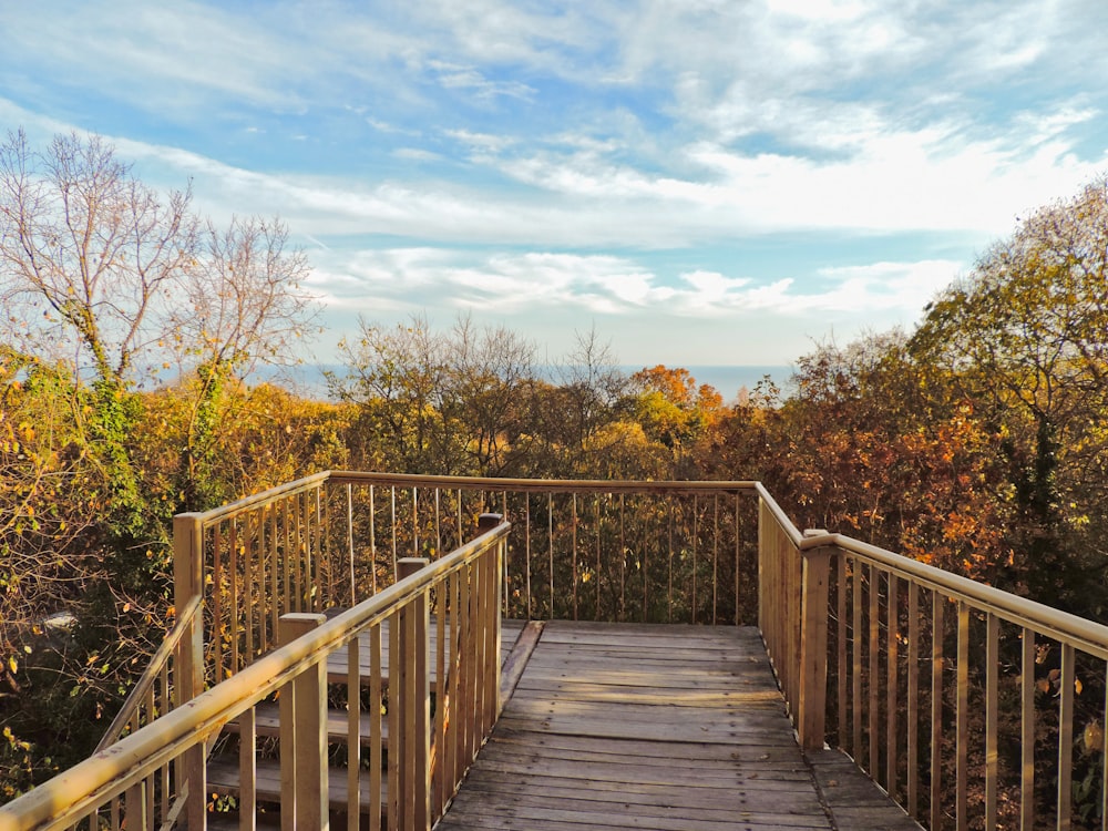 une passerelle en bois avec des balustrades menant au sommet d’une colline