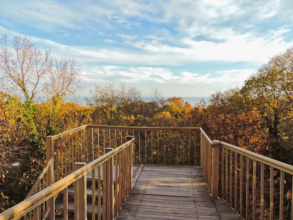 a wooden walkway with railings leading to the top of a hill