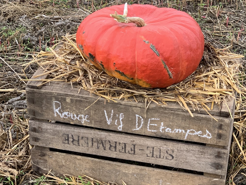 red pumpkin