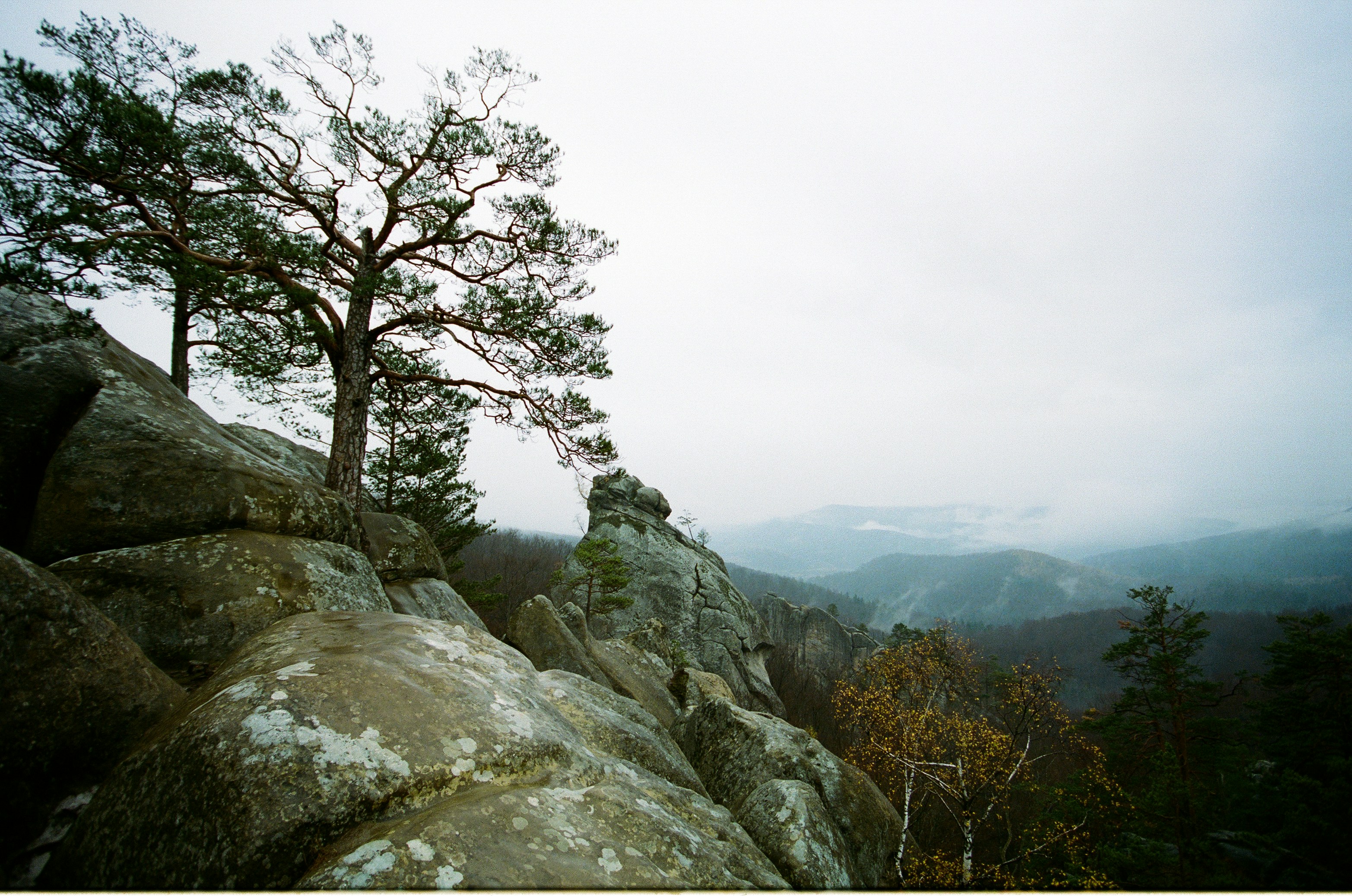 Photo by andrewpetrischev