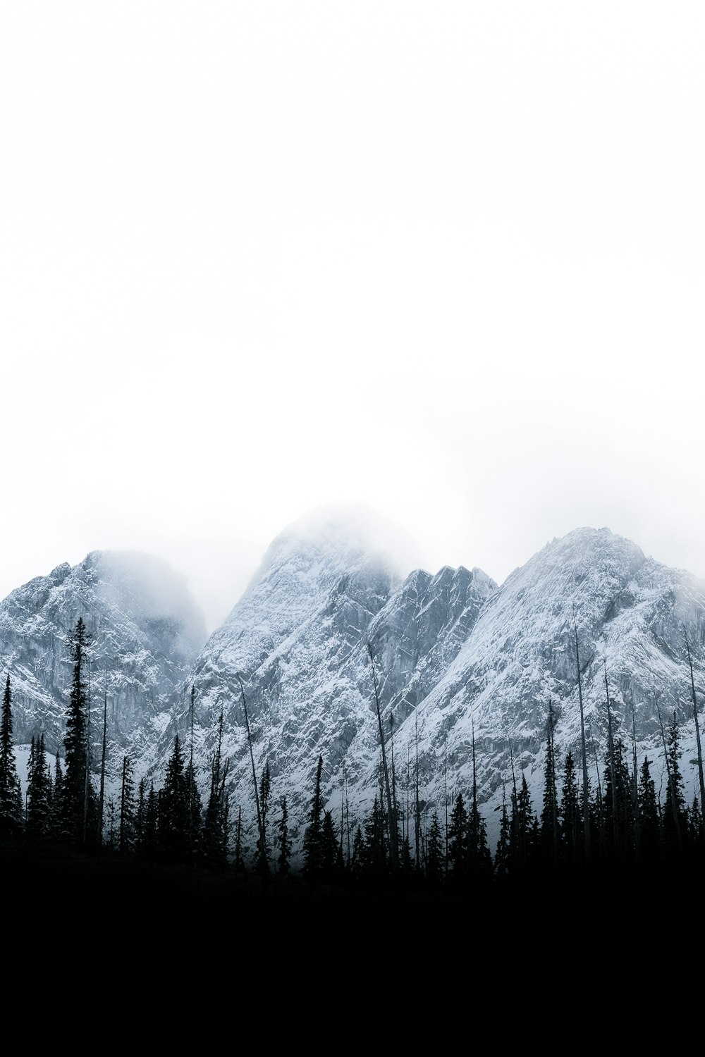 Guarda la fotografia di alberi e montagne durante il giorno