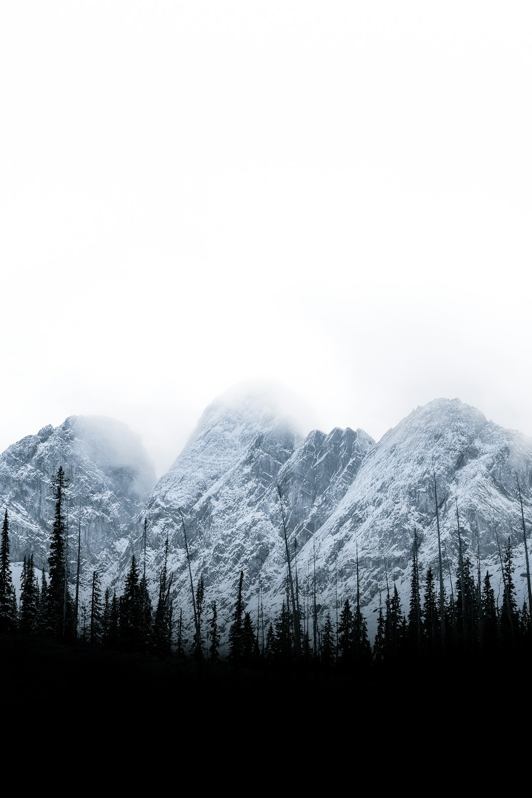 view photography of trees and mountain during daytime