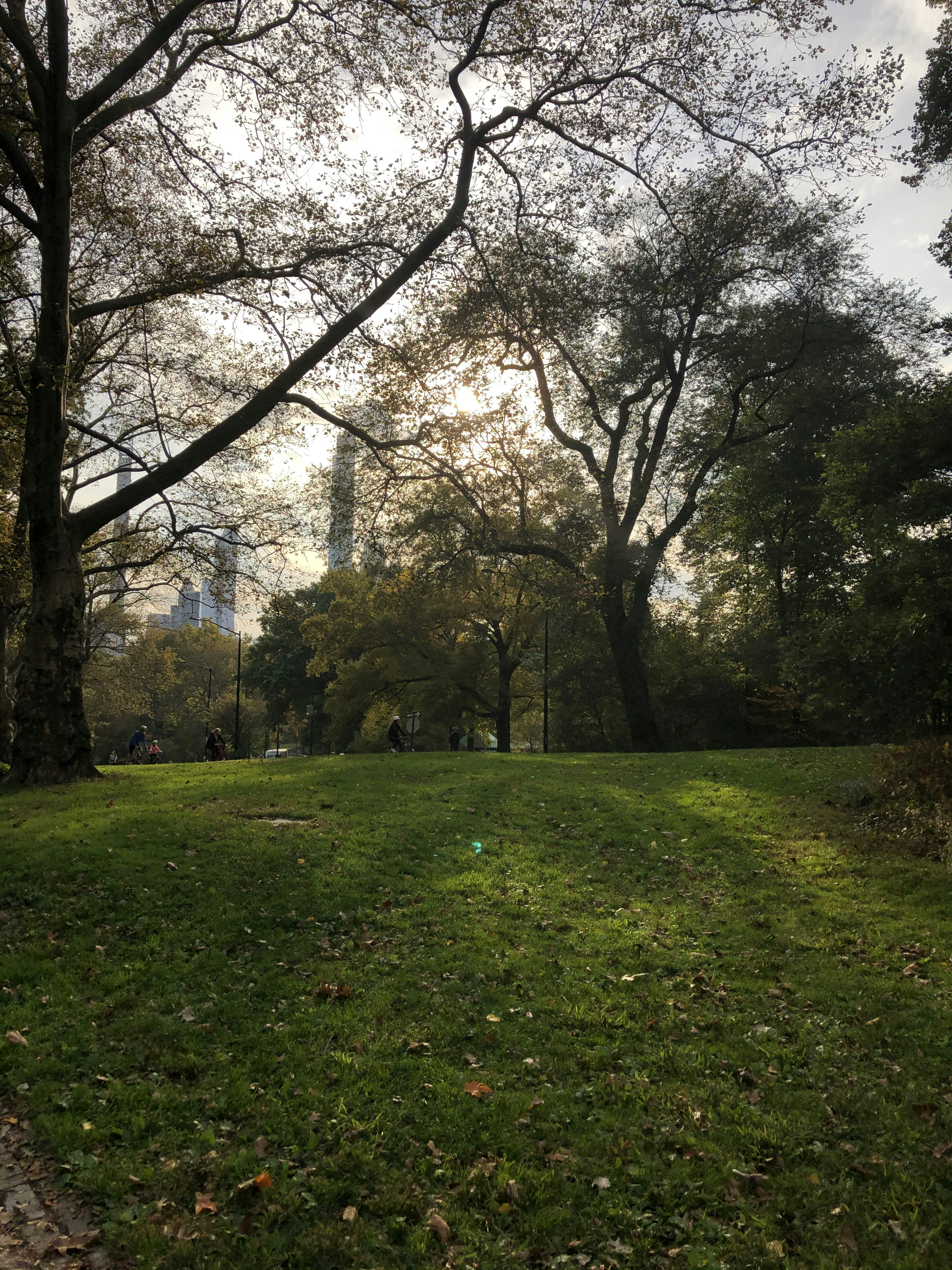 Photo by nationaljeographic