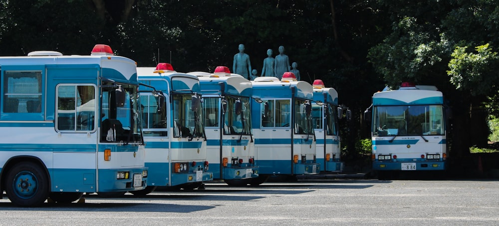 photo of white and blue transit buses
