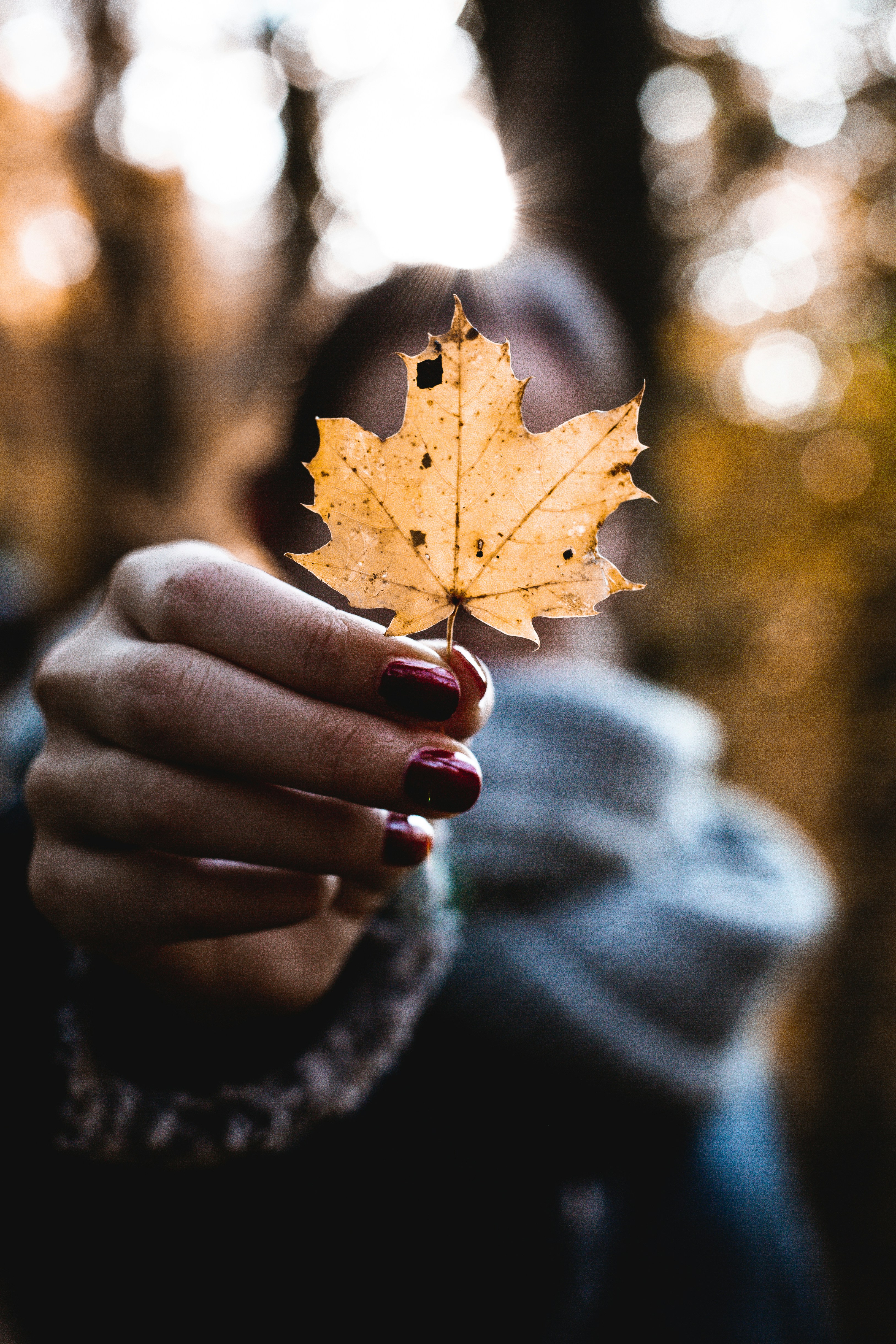 Person mit Palmenblatt