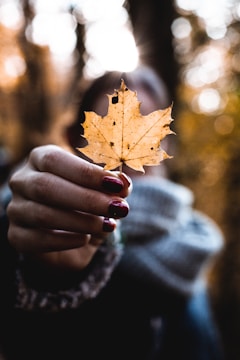 Seasonal nail art featuring autumn leaves in warm hues on almond-shaped nails.