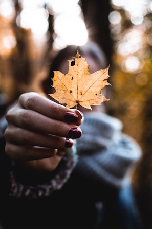 Creative seasonal nail art inspired by autumn leaves and warm tones.