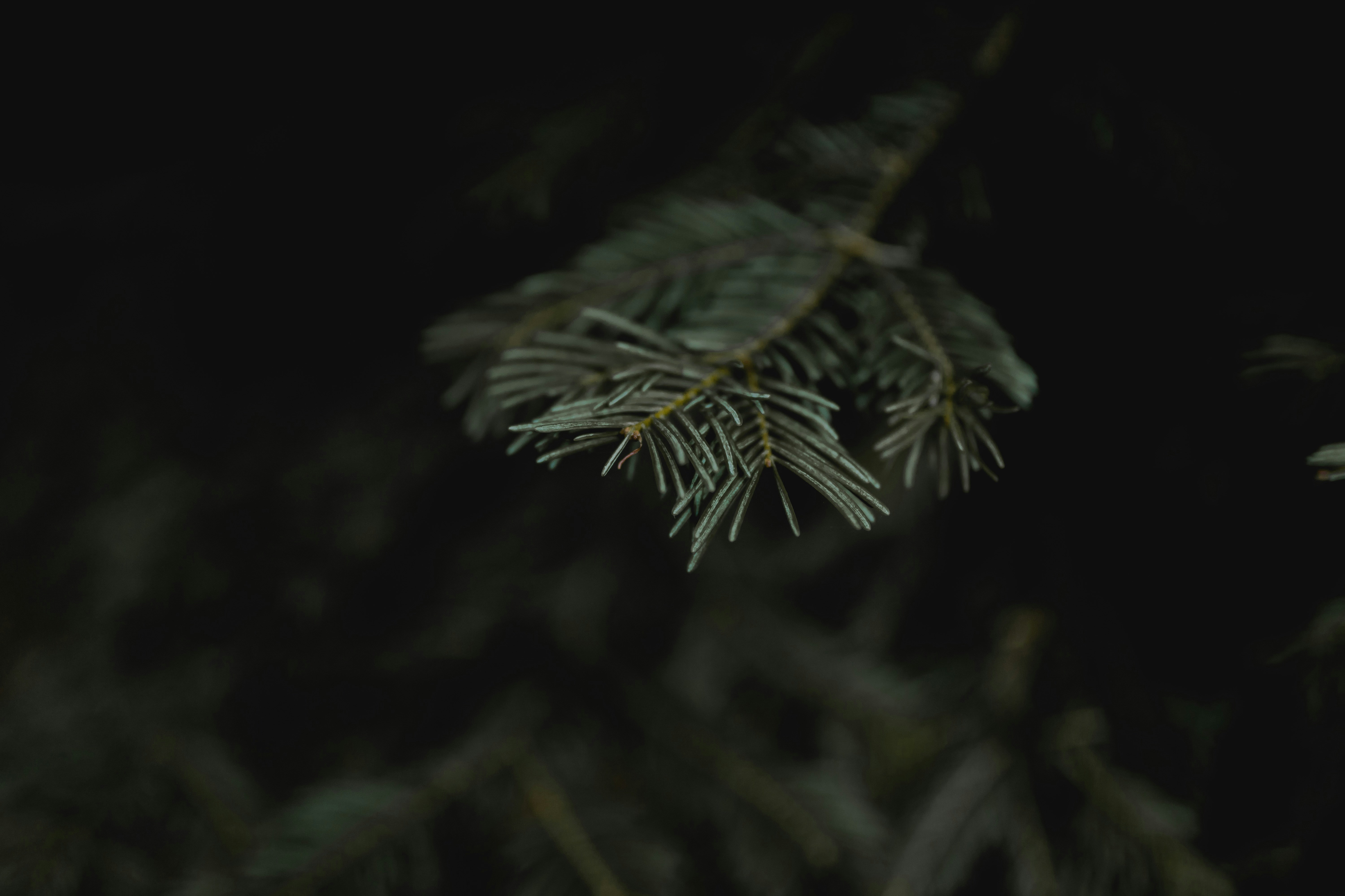 Photo by ariellustre