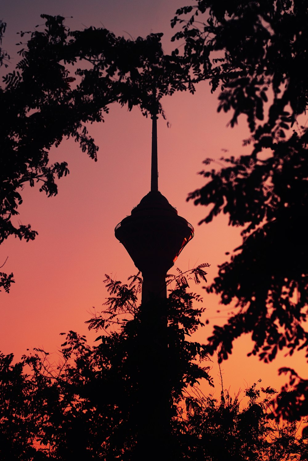 Silhouette von Turm und Bäumen