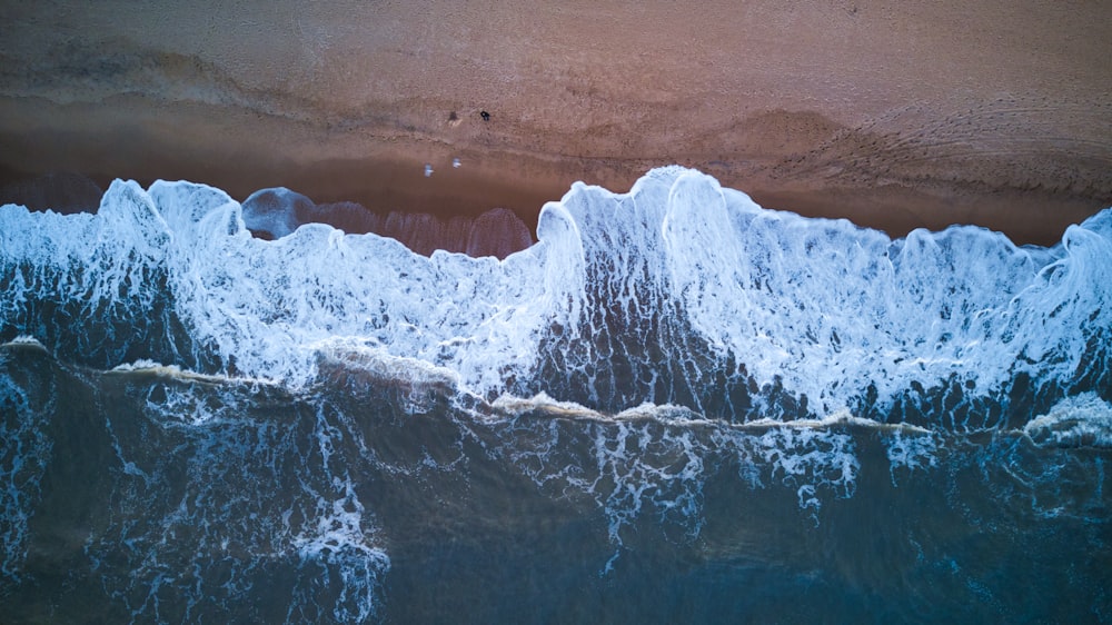 aerial photograph of beach