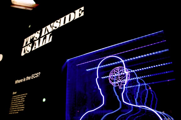 Bright neon outlines of human figures superimposed with a detailed sketch of a brain against a dark background. Above the figures, bold, illuminated text reads 'IT'S INSIDE US ALL'. There is also a small text panel on the left side with the title 'Where is the ECS?' and some descriptive text underneath.